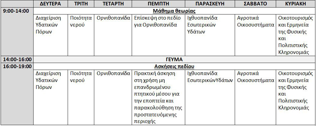 programma_summer_school_20182704